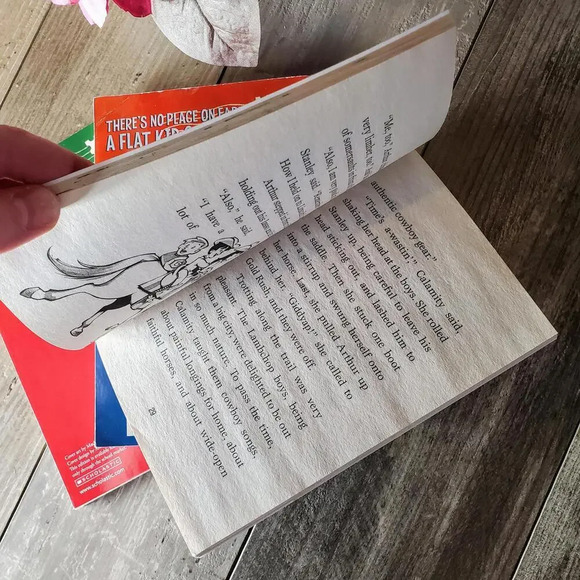 Flat Stanley Scholastic Book Bundle - Picture 5 of 7